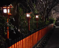 Gion - Night view 