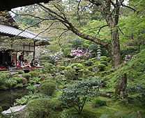 Sanzenin Temple - Kyakuden and Shuhekien garden 