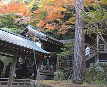 Zenrinji Temple - Mikaeri Amida