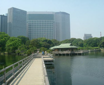 Bridge, pond and tea house - Hamarikyu Gardens