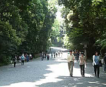 Pathway to shrine - Meiji Shrine