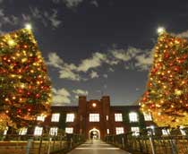 Christmas illumination - Rikkyo University