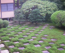 东福寺 - 方丈北庭院的市松花様