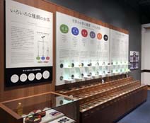茶的品种介绍-富士之国茶之都博物馆